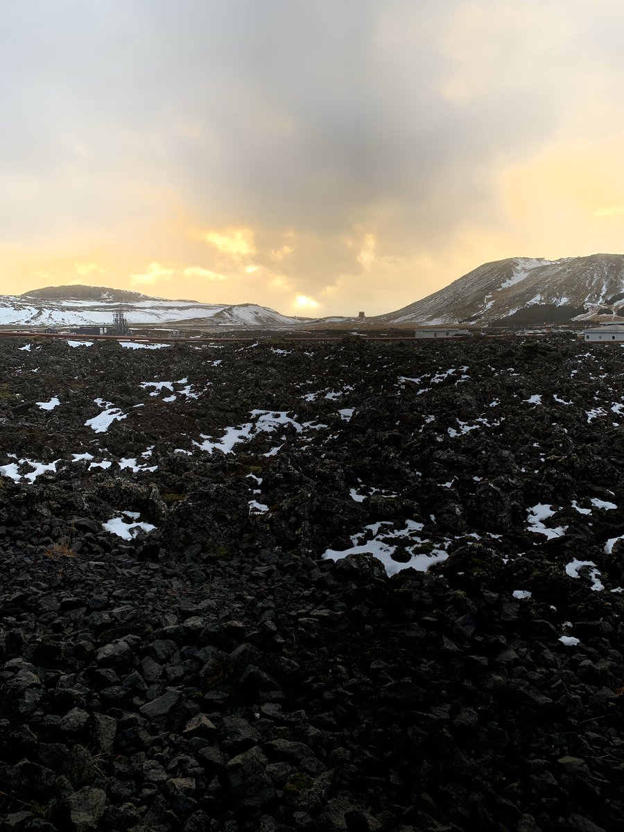 Michelle Wilde tweet media