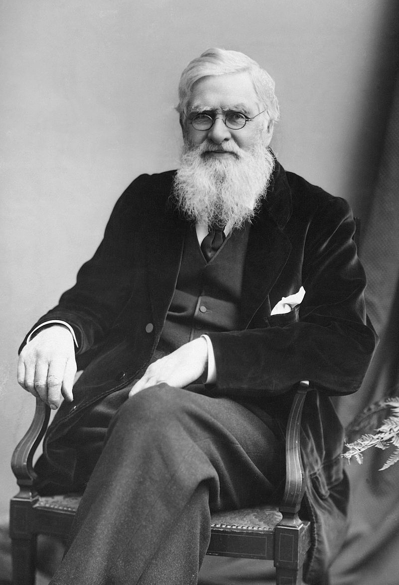 Black and white photograph of a bearded, bespectacled, and seated Alfred Russel Wallace, taken around 1895