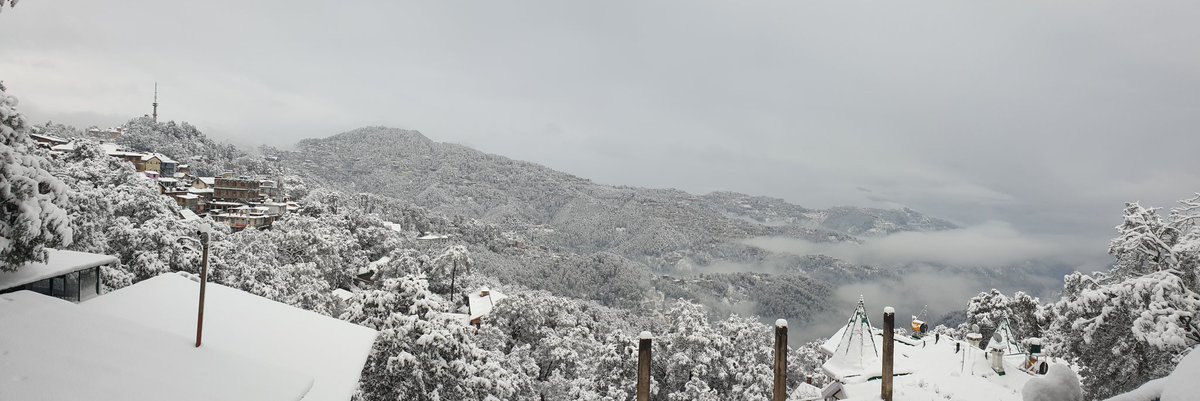karanbjphp's tweet photo. Picture From Heaven #SnowInShimla https://t.co/GASMeySu7Z