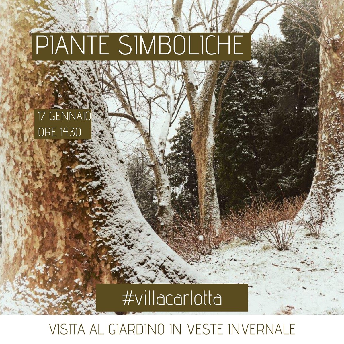 🏞 Se hai voglia di una bella passeggiata nel parco vieni a #villacarlotta 

👉 Scoprirai diverse curiosità sul portamento degli alberi, sulle cortecce e molto altro!
⏳17 gennaio ore 14.30
👙scarpe e vestiti comodi

villacarlotta.it
#lakecomo #eventi #Giardino #parco