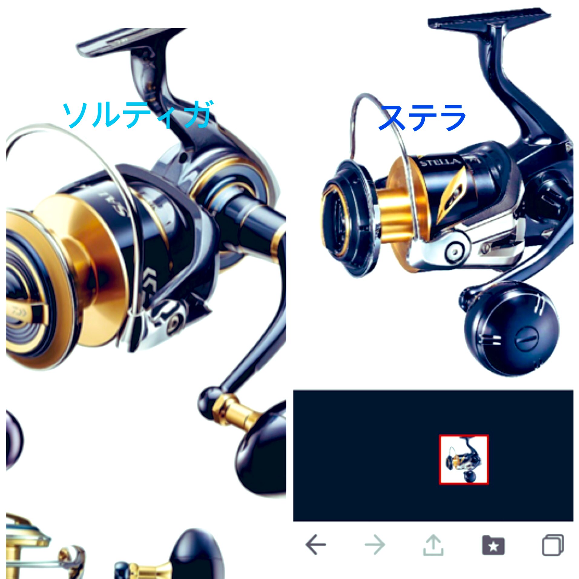 ポパイ ソルティガ 本当にステラに似てますね 買おうか迷います ソルティガ 19ステラ T Co Pp9xg0g2kx Twitter