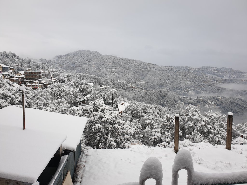 karanbjphp's tweet photo. Picture From Heaven #SnowInShimla https://t.co/GASMeySu7Z