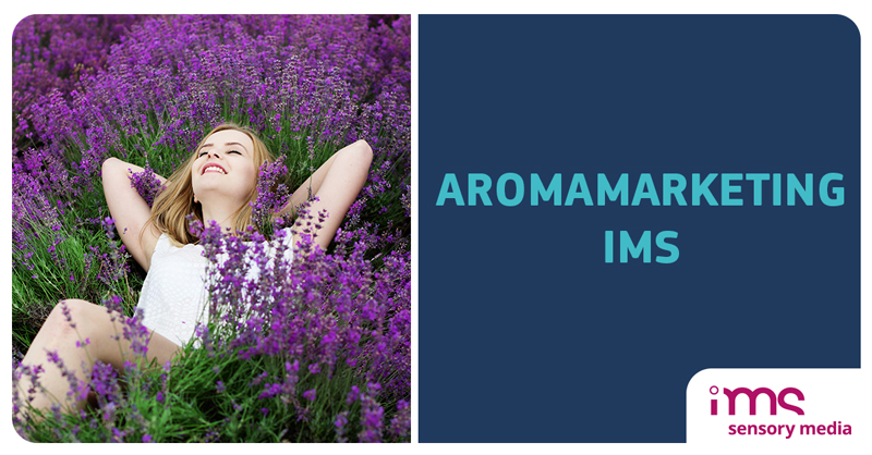 ImsSensory's tweet photo. #CroissantCafe stawia na #Aromamarketing od Grupy Kapitałowej #IMS.
Więcej na: https://t.co/idnsgwJJpF
#CroissantCaffeWarszawa #MarketingSensoryczny #Business #BusinessGoals #MarketingTips #MarketingStrategy #MarketingZapachowy #kawiarnia #restauracja #restaurant #Warsaw #Retail https://t.co/kXdqKZdYvX