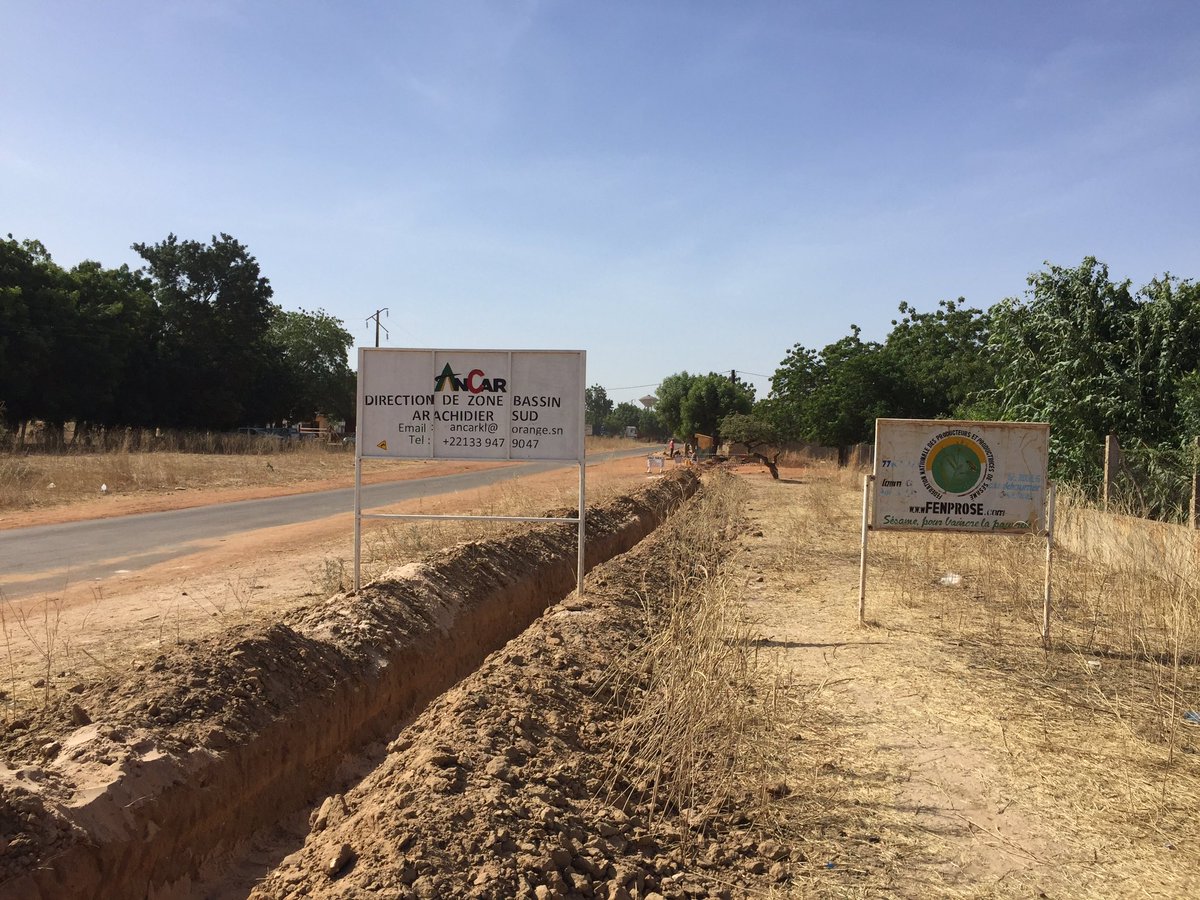 djigane's tweet photo. Developing agriculture in Senegal
#AgriBooster https://t.co/wIGm6tRNFi