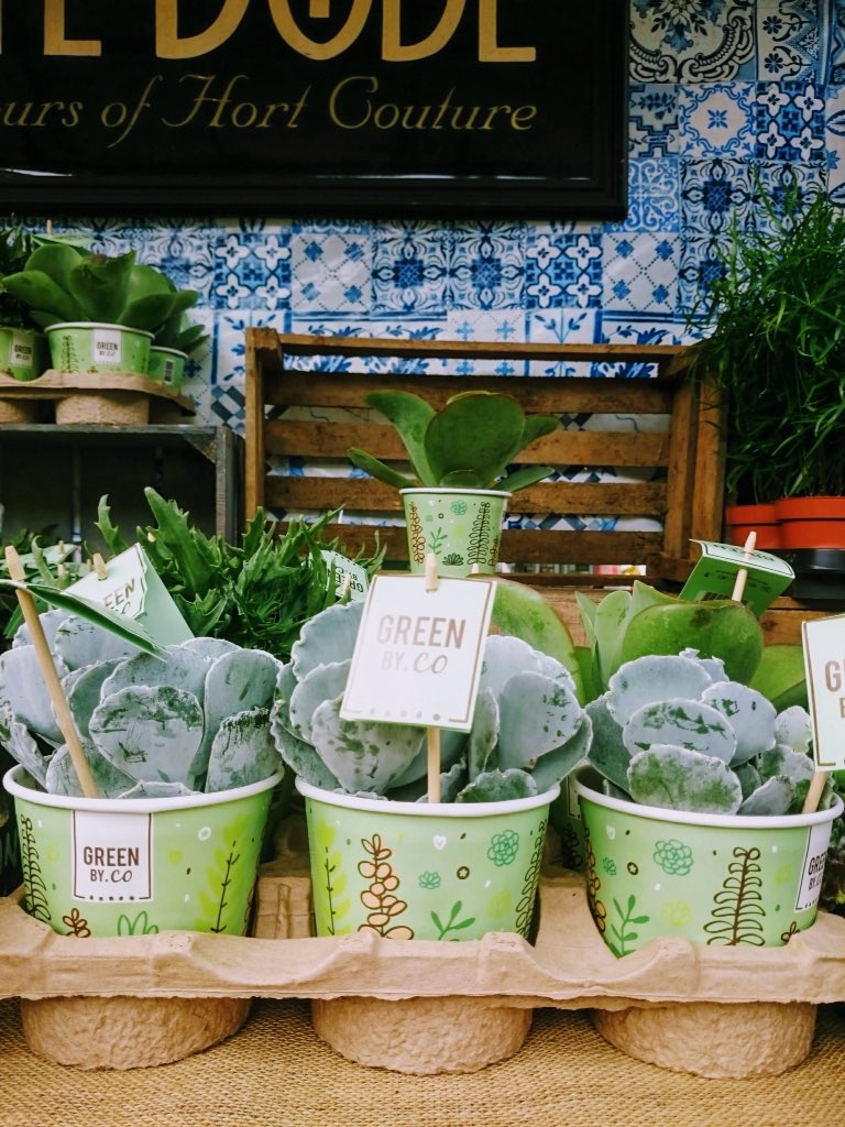 WhiteDoveLMK's tweet photo. Looking ahead to June it's the 3rd Limerick Garden Festival, what would you like to hear see or do? More flower displays? What talks would inspire you? Rude looking vegetables? Workshops? We are planning our input this week and would love to hear your ideas! https://t.co/O4DyYzfU3p