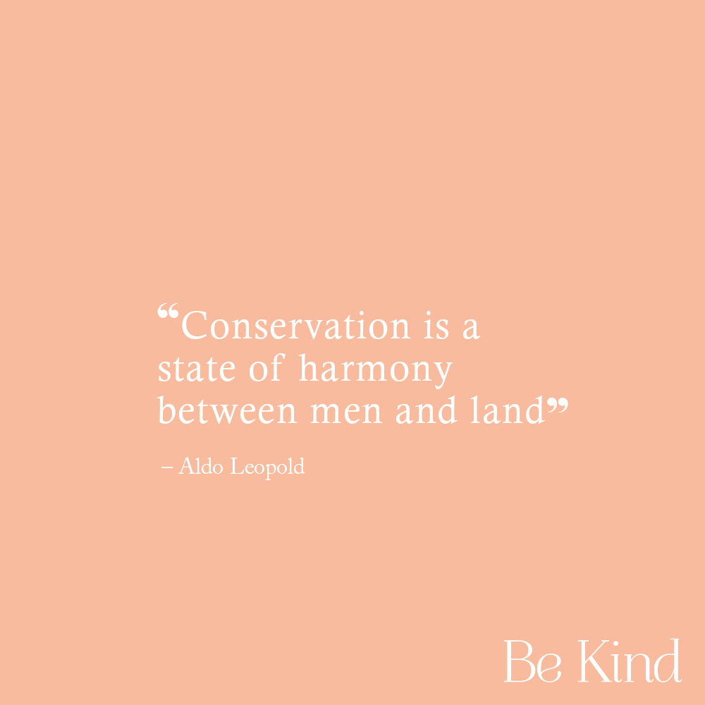 "Conservation is a state of harmony between men and land”
- Aldo Leopold #bekindmagazine