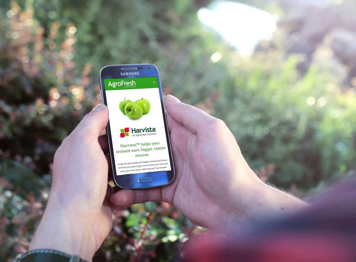 creative_grphcs's tweet photo. Website design for AgroFresh South Africa.
#wordpress #webdesign #elementor #madewithelementor #design #conditionalforms #calderaforms #harvista #agriculture #fruit https://t.co/UM4DEFNA2R