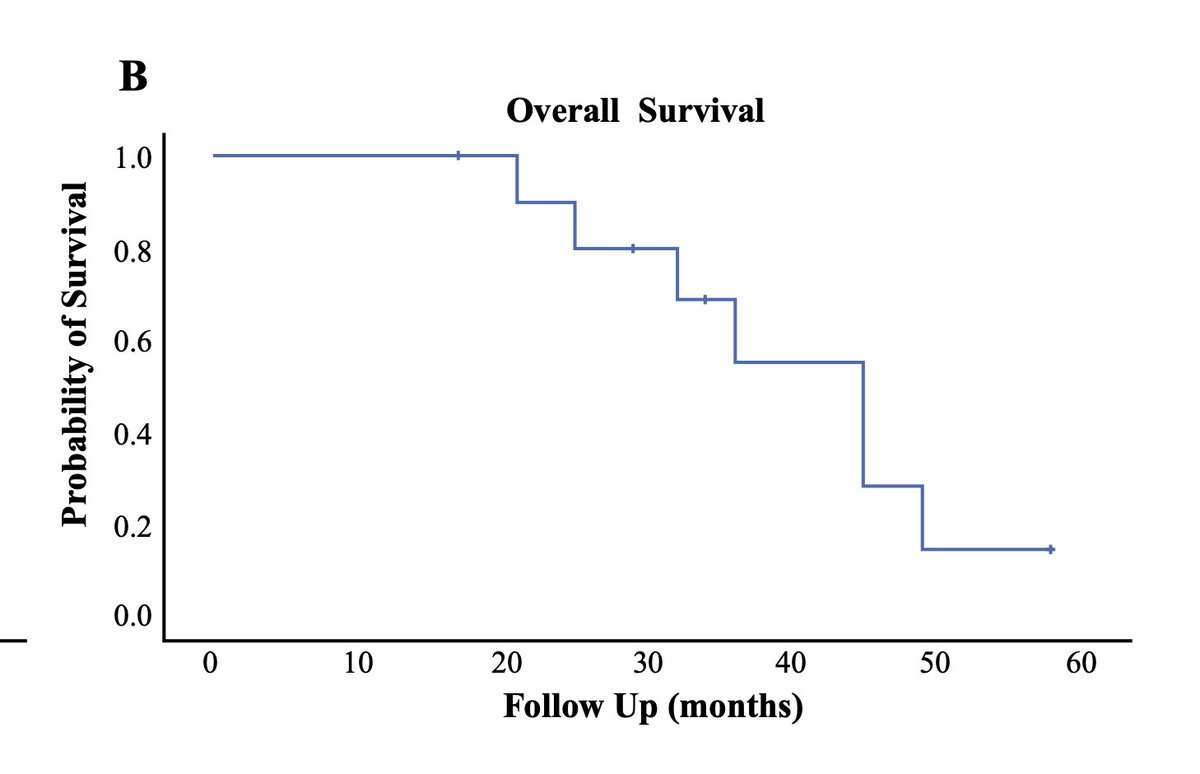 JANUARY ISSUE: #DesmoplasticSmallRoundCellTumor: Long-Term Complications After #Cytoreduction and Hyperthermic #IntraperitonealChemotherapy. ow.ly/vx0Z50xJ35A @McMastersKelly @SocSurgOnc