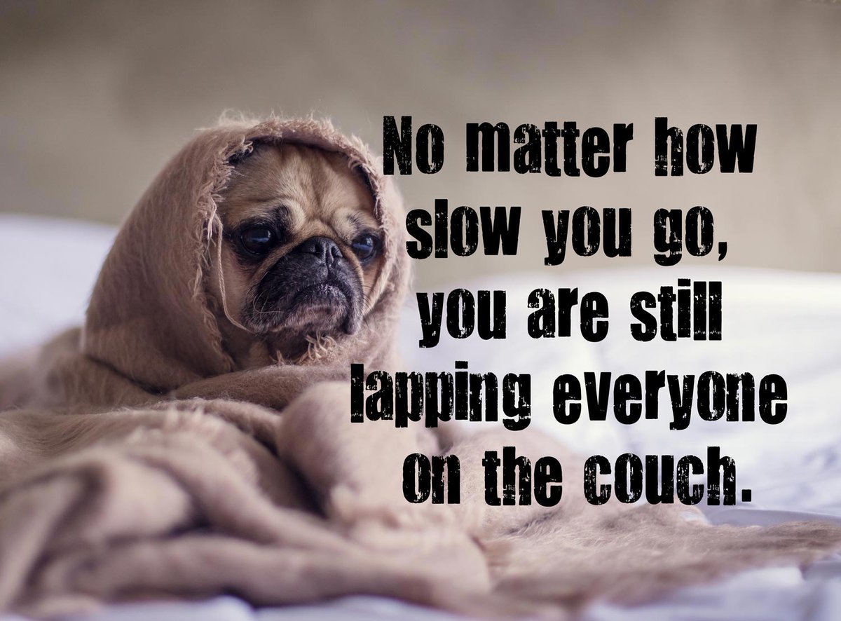 RaceNationEvent's tweet photo. *WARNING: #MOTIVATIONALQUOTE ALERT* 😅

Feeling ready to get up &amp; go after Christmas... or not so much? That first step is always the hardest, so set yourself a goal and signup for an #immortalevent. 

Any other quotes for these #Januaryblues?🤔

 #becomeimmortal #newyearnewyou https://t.co/fs73vRMqOa