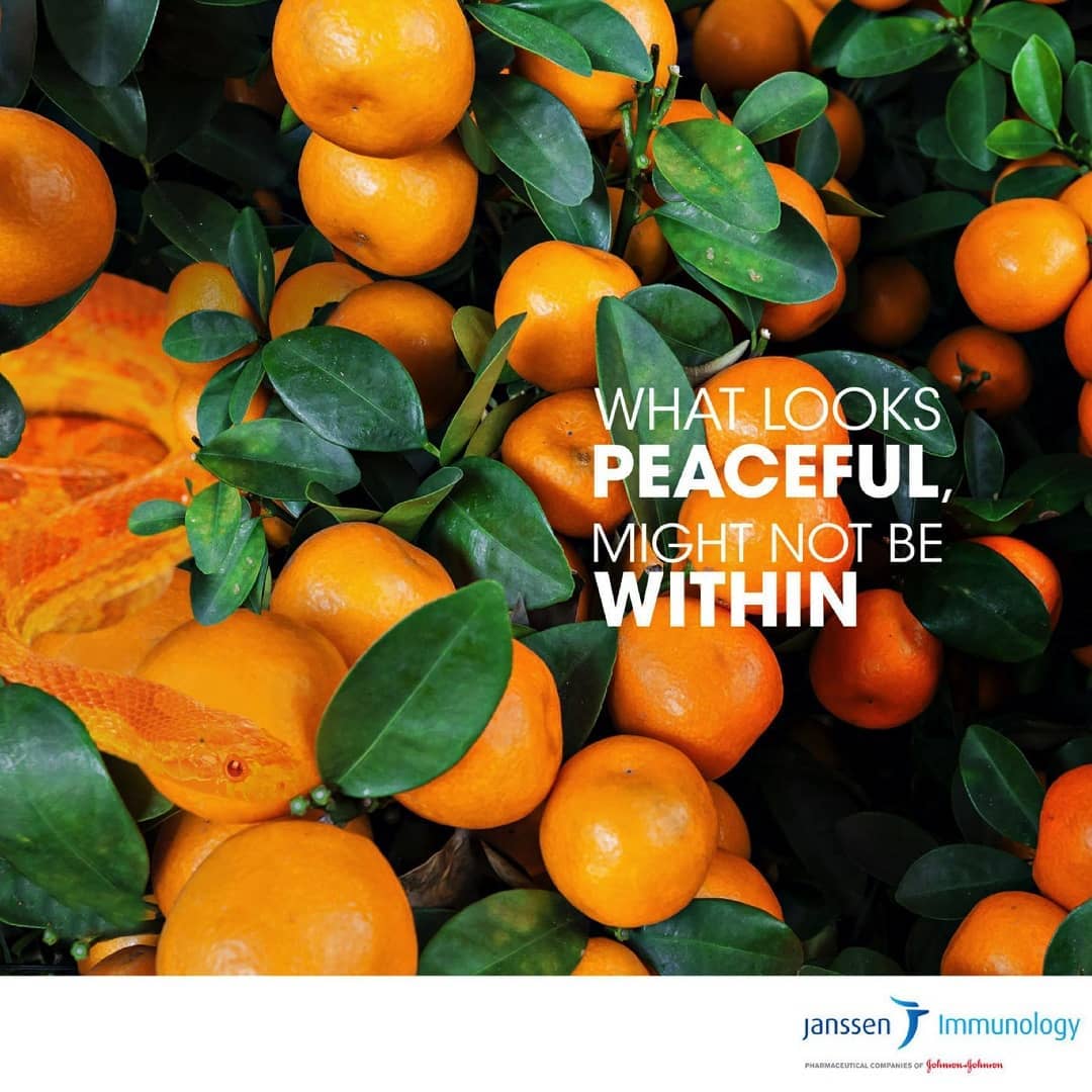 adaddictive's tweet photo. Healthcare!
Go to https://t.co/Pt7G3avRdT for more
Follow us on @adaddictive
#adaddictive
#creativead
#creativeads
#creativeadvert
#creativeadvertisement
#creativeadvertisements
#creativeadvertising
#creativeadvertizing
#janssenimmunology
#immunology
#immunologylab
#oncology https://t.co/VevQIR5ush