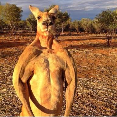 [Image: ENwh12wXsAIyn-t.jpg]