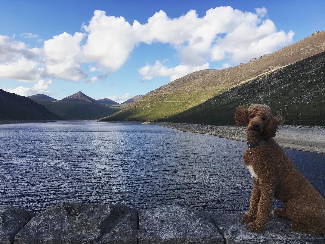 | SLEEP | Silent Valley B&B | “Your Home From Home.” This modern & luxurious family run B&B is nestled in the foothills of the Mournes and is ideally located for hill walkers, golfers, mountain bikers and couples looking for a romantic break. silentvalleybb.co.uk 💕#lovemourne