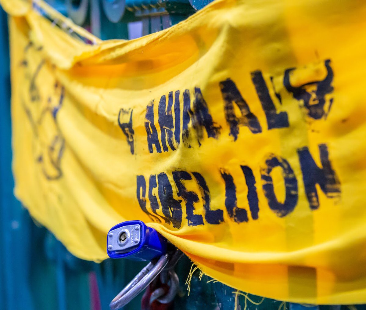 ACTION! Animal Rebellion Hull will be staging a citizens arrest on local East Riding council leader, Richard Burton to bring attention to the lack of action taken to tackle the climate emergency by the council.

yorkshirepost.co.uk/news/latest-ne…