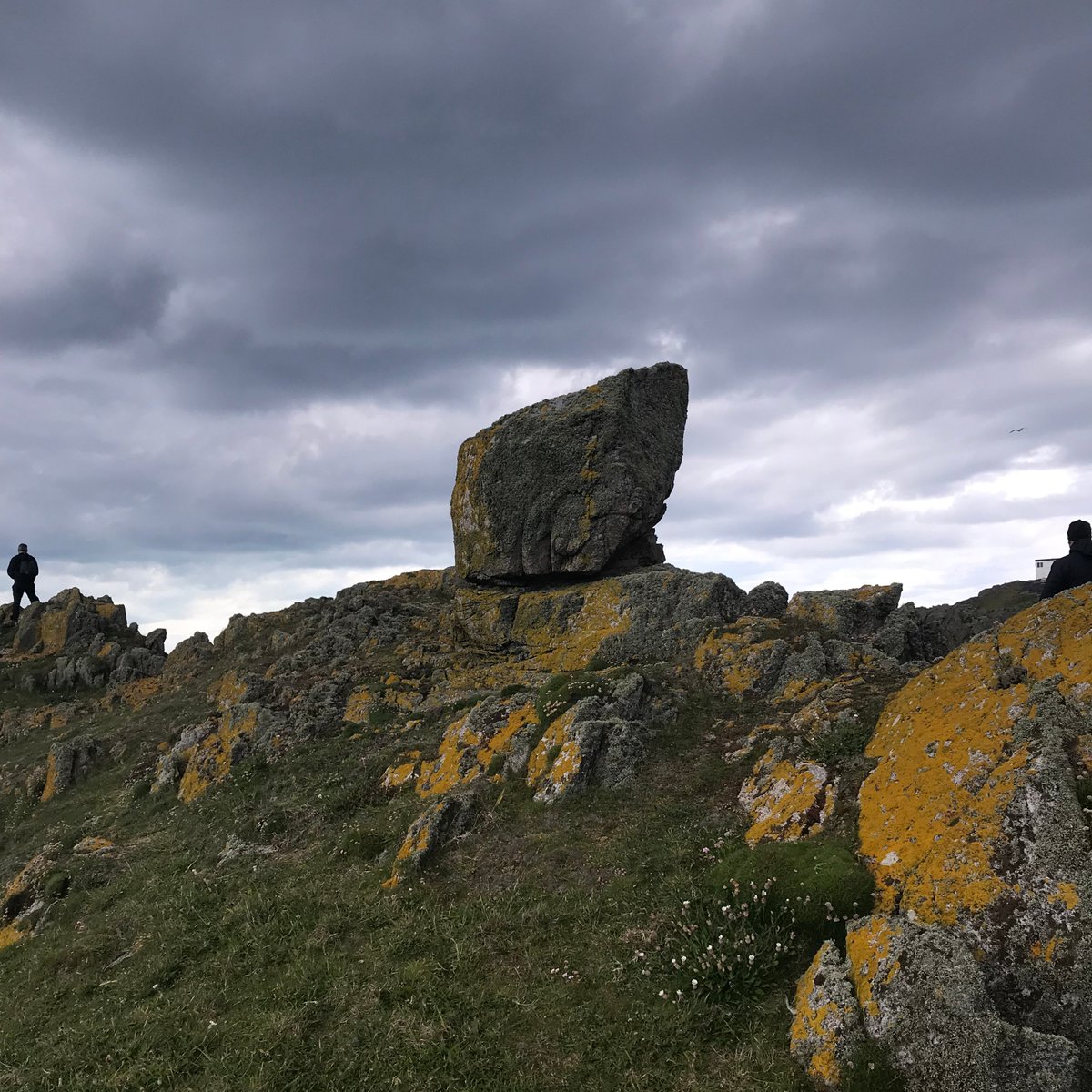 #Inishtrahull geologically is 1.7 billion years old, making it the oldest known rock of the Irish Islands. #OldRockDay