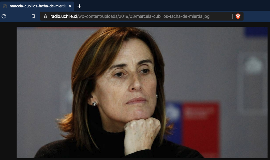 licerdo's tweet photo. "marcela-cubillos-facha-de-mierda.jpg" 👌 https://t.co/fhSaNvAkR9
