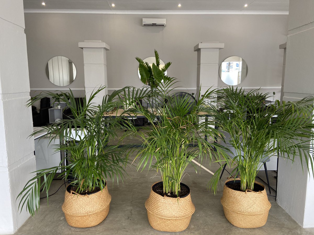 HJ WIN WIN WIN!
It’s #wellnesswednesday and there’s a brand NEW wellness spa, just opened in Linden @sensology_wellness 🙏🏻
Because everyone deserves a pamper in January we will be giving away a facial, full body massage journey, manicure and pedicure to one lucky HJ.
RT to WIN!