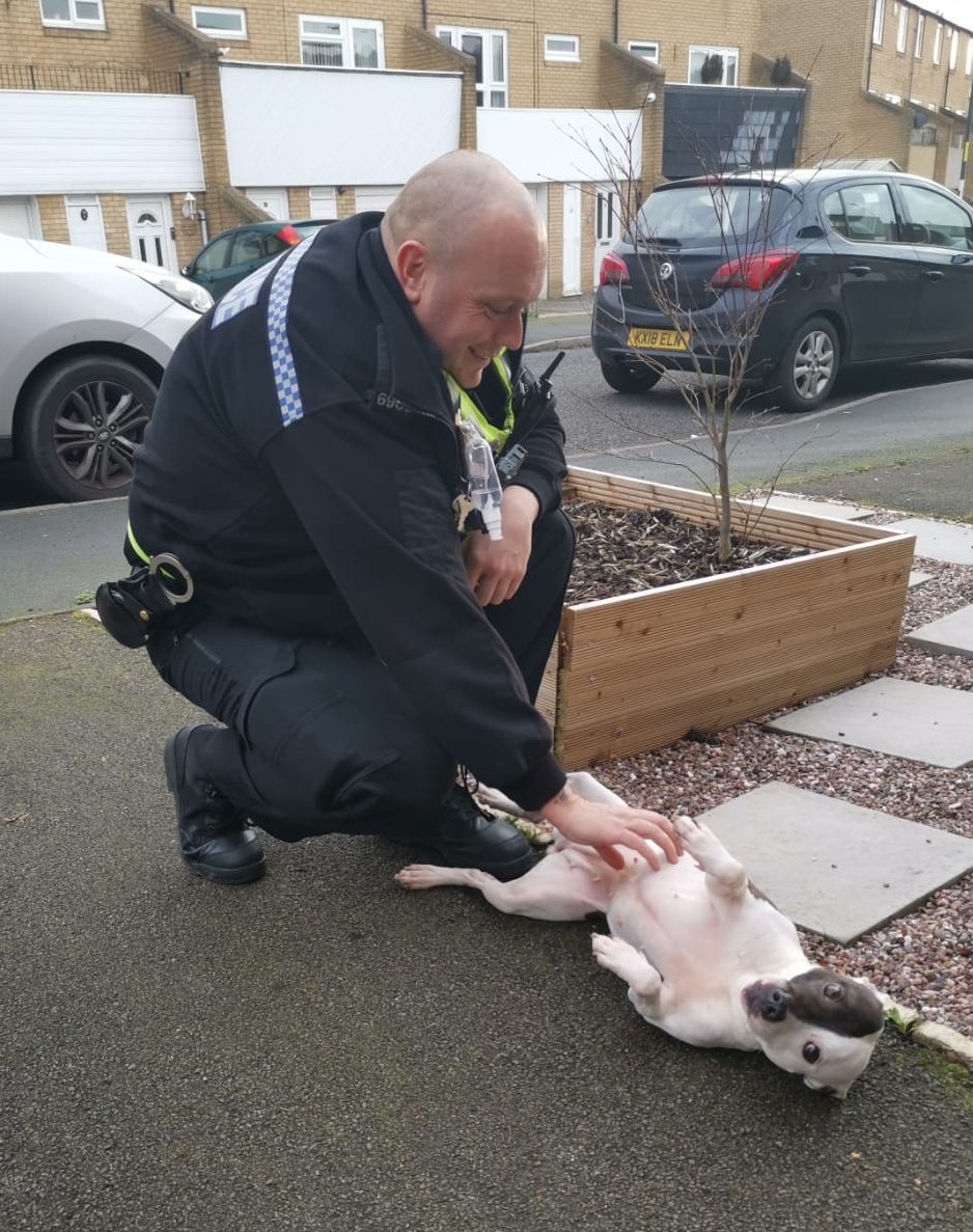 Shard End Police tweet media