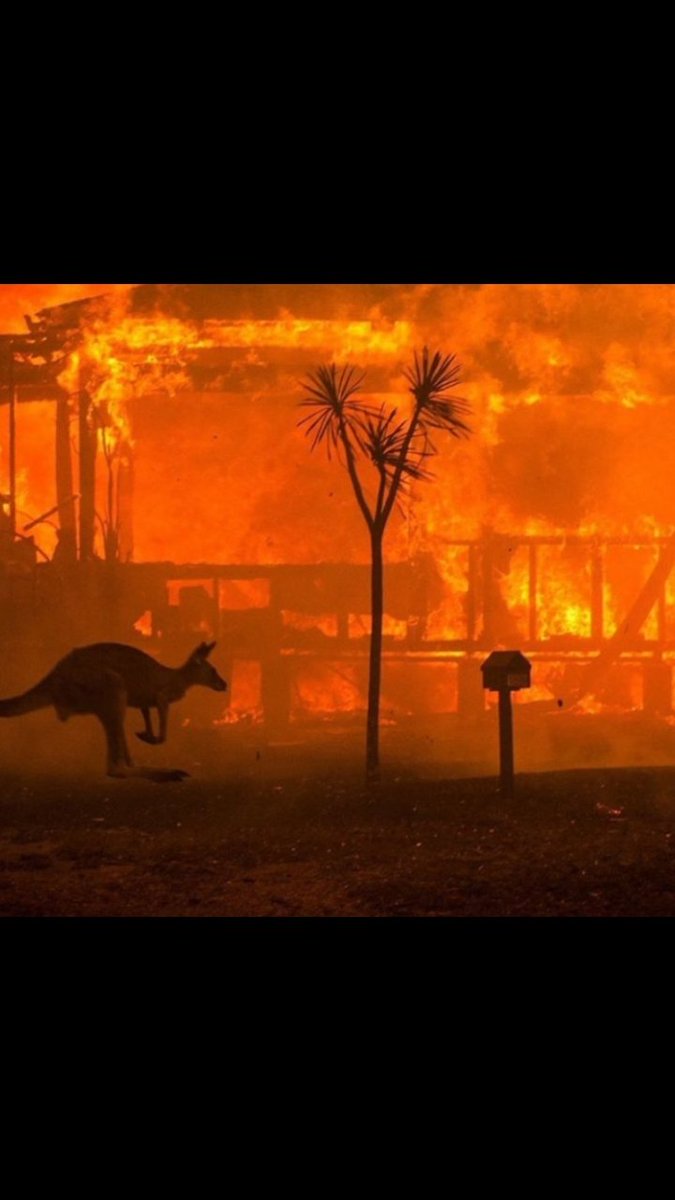 FregnanKelly's tweet photo. My country is burning
Your prayers for a quick stop to this is appreciated. https://t.co/7YxSgNMbcZ