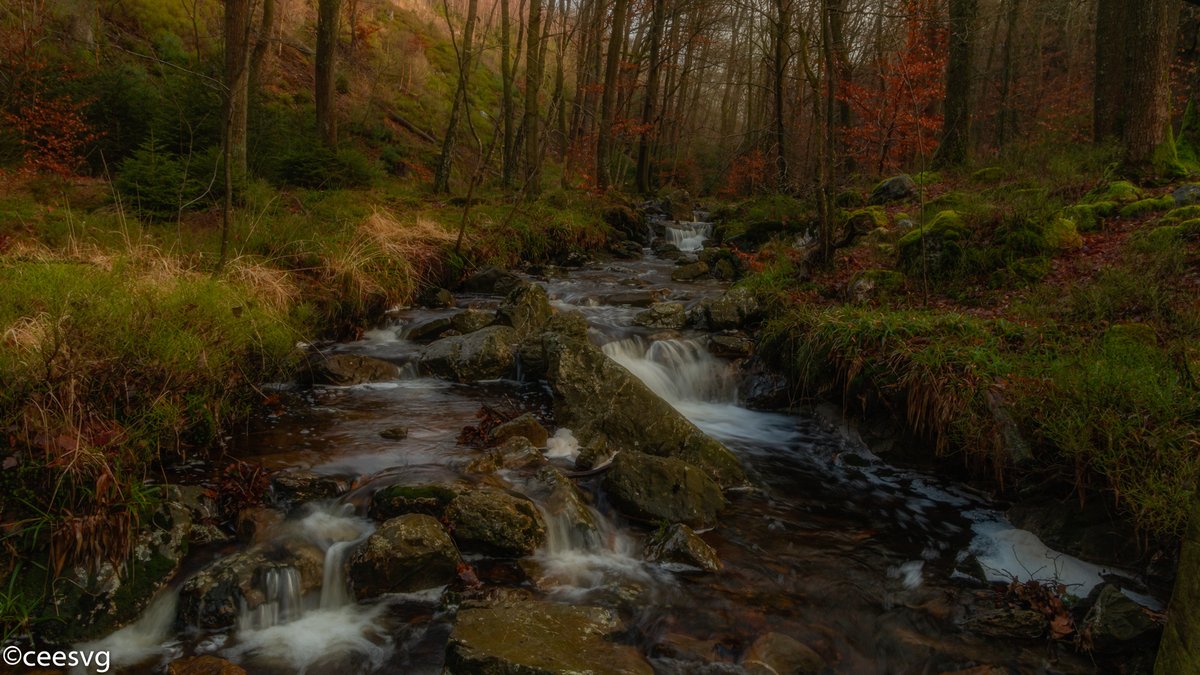 ceesvgnl's tweet photo. Prachtige rivier in Belgie  
#ceesvg #destatte https://t.co/st31ksG9Tk