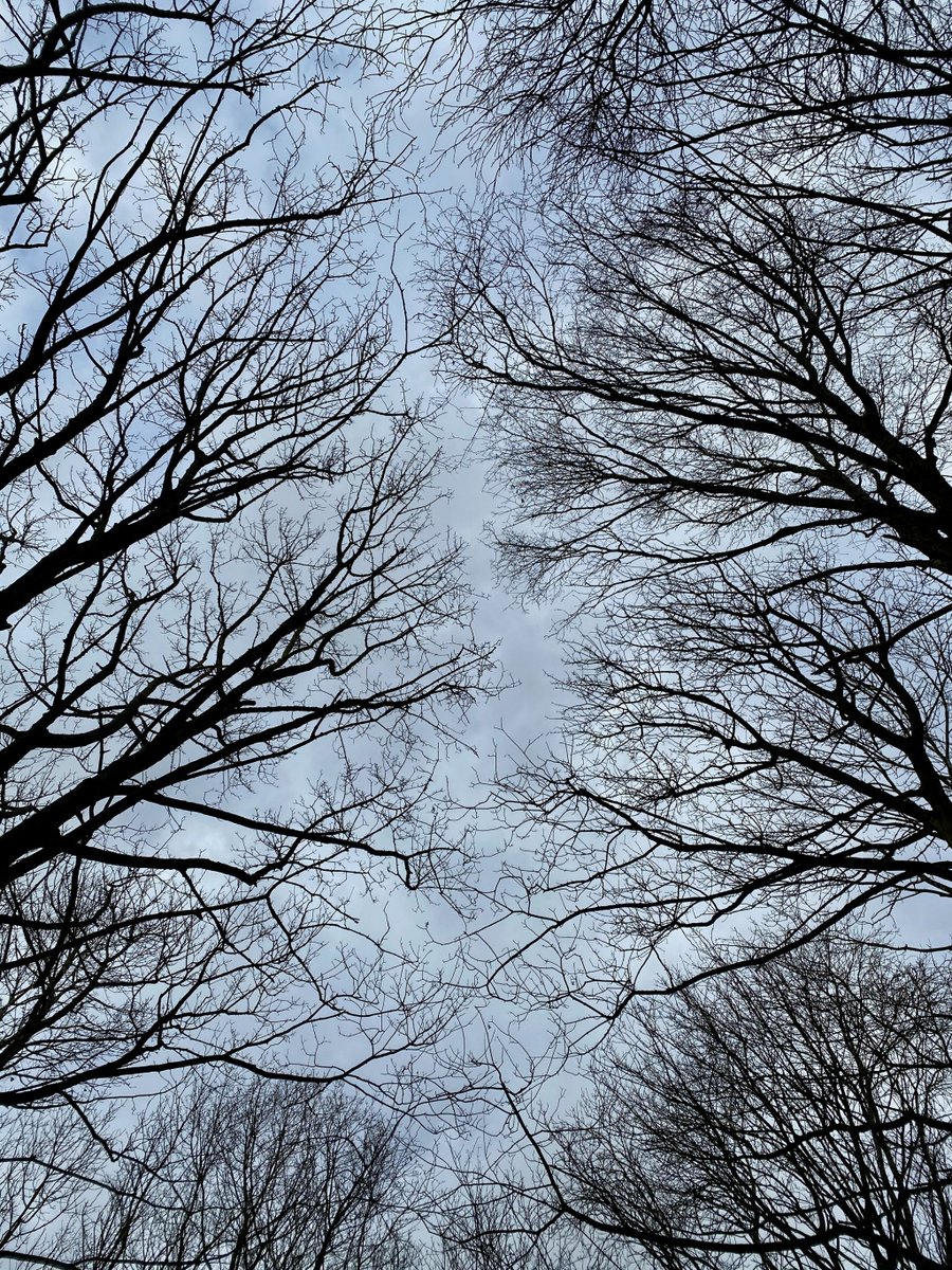 Hey! Happy Birthday! davidsquireblog.com/2020/01/08/hey…