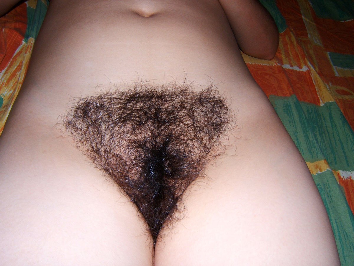 Hairybushpussy's tweet photo. https://t.co/kZXkAQNL0f