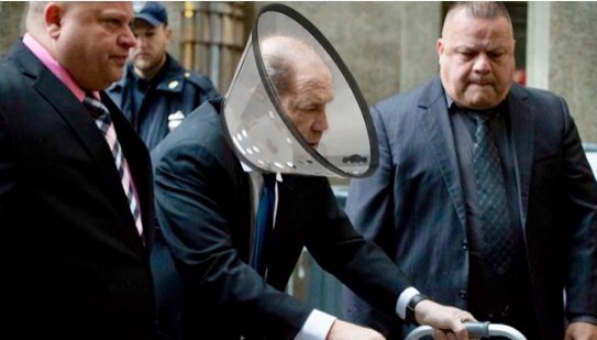 steffihellyes's tweet image. Harvey Weinstein Wears Dog Cone To Prevent Self From Licking Balls In Court: