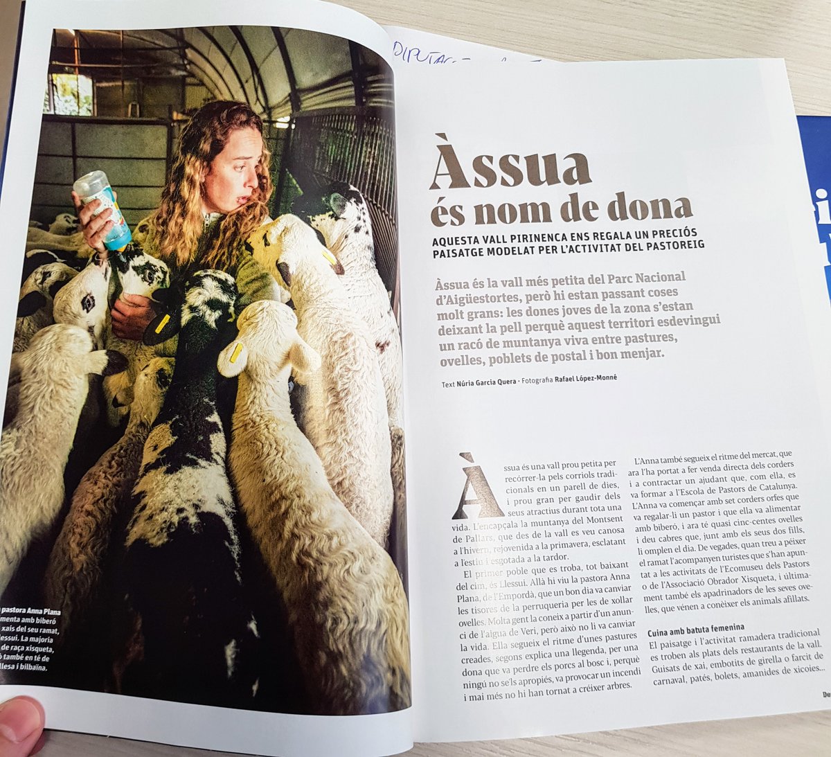 ajuntamentsort's tweet photo. 🙌🏻 Molt agraïts a la revista @descobrircat que en el número de gener dóna a conèixer als seus 60.000 lectors la bellesa natural de la Vall d'Àssua! 🏔️🐏🌲 #Llessui #Seurí #Altron #Assua #ValldAssua @aralleida @visitpallars @altpirineuaran @Tarterdellibres https://t.co/n6ox9ILdTD