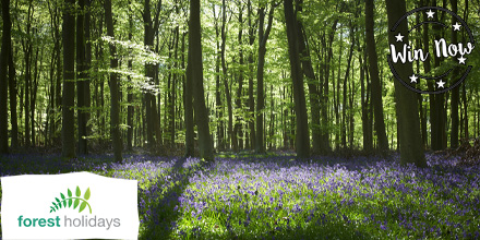 winningmomentuk's tweet photo. 🌲#WIN A £250 VOUCHER FOR FOREST HOLIDAYS!🌲
Forest Holidays are offering one lucky winner the chance to WIN a £250 voucher to use towards one of their #cabinbreaks! 😍
TO ENTER:
1️⃣ Follow us + @forestholidays
2️⃣ Like + RT
3️⃣ Click here ➡ https://t.co/eEJP0iQ6lH https://t.co/RObWUZswjh