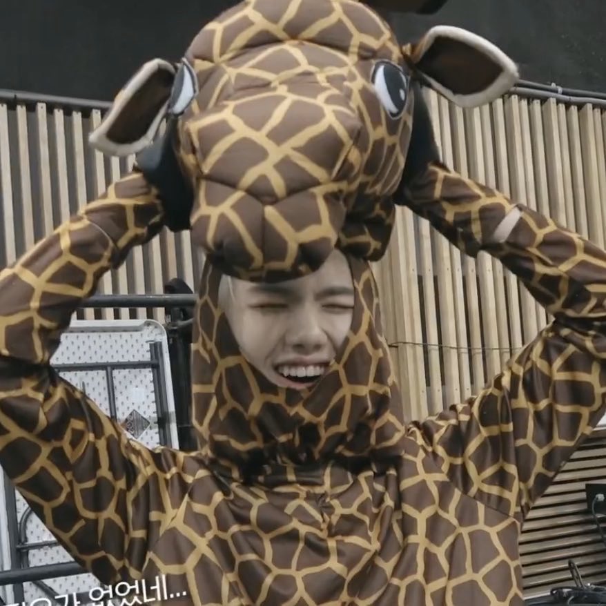 hafadrippin's tweet image. minhee is physically sick from stress and I just hope he’s seeing some of the positive messages:( I miss him a lot :(( and I want to see him smiling Ike this soon #NEWX1_support #X1_new_beginning #X1_reboot