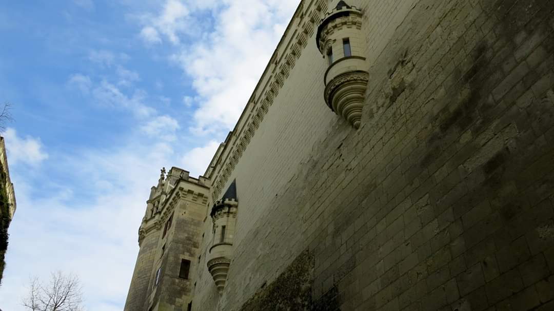 JeanPaulCerny's tweet image. Douves du @Chateaudebreze, Pays de la Loire
(avril 2013)
📷 Jean-Paul Cerny
_________
#Breze #paysdelaloire #secretsdhistoire #frenchcastle #patrimoine