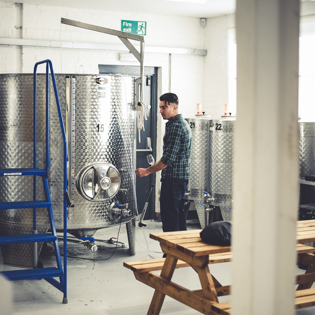 Sneaking a glass for #winewednesday 😎

#winemaker #winemaking #vineyardvines #vineyards
