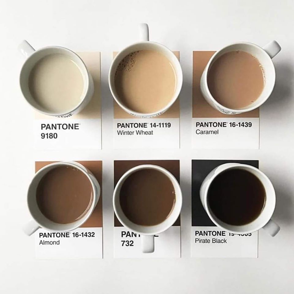HansHatch's tweet photo. Para mi próxima junta en @hatchmx_ , les voy a preguntar a mis clientes de que Pantone quieren su café 🤣 https://t.co/hoeku5QR4D