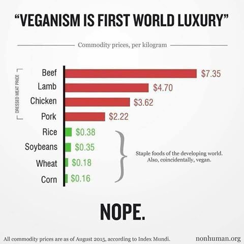 “going vegan is great but it’s a first world luxury!”- majority of stables in developing countries are vegan- rice, soybeans, wheat, corn, etc are all vegan and are statistically cheaper than animal products- veganism adopted dishes from non American cultures