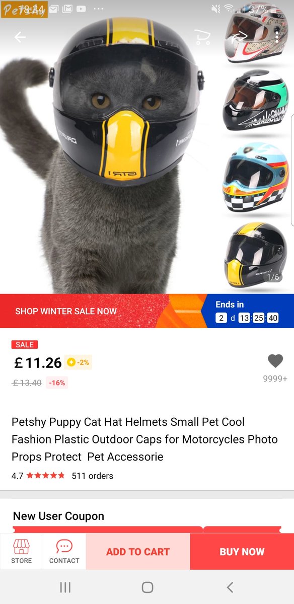 Neil Bridson tweet media