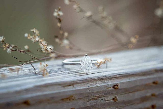 LolaDeePhoto's tweet photo. Check out this beauty from the last engagement session. 😍 I absolutely love all of the unique engagement rings that I have been seeing lately. What engagement ring trends do you like to see? Which do you think we'll see in 2020? #diamondring #engagem… https://t.co/sPQAY41KRg https://t.co/7Zqvpbbtnm