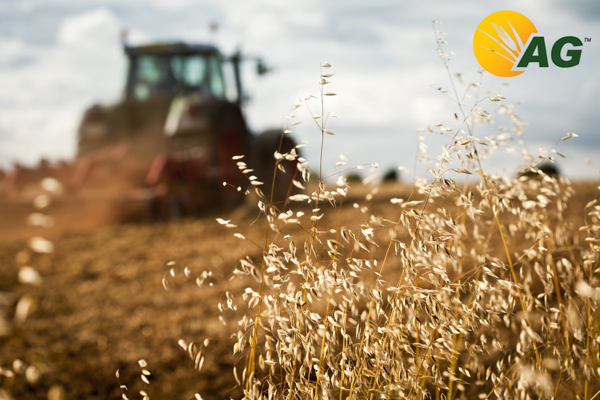 AG Global is a maker of natural and organic fertilizers reinvigorating the fertilizer industry with sustainable products for agricultural, horticultural, and garden growers and input manufacturers. Contact gstill@agglobal.co or call 705-812-3206 for more info! #Ag #Fertilizer