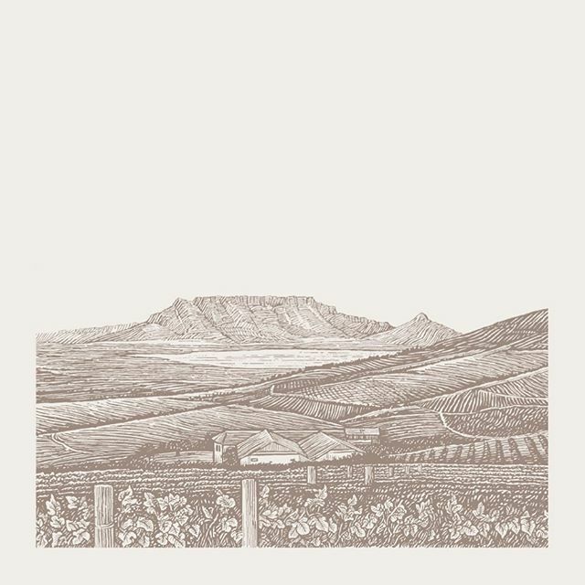 An in-house illustration by <a href="/haumannsmal/">Haumann Smal Design</a> #illustration #tablemountain #haumannsmal #capewinelands #capetown #stellenbosch ift.tt/2s9yQ1U