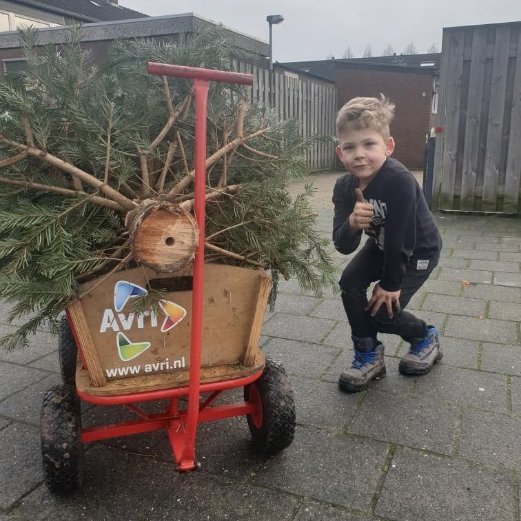 Deze jonge 'hulpmedewerker' van de AVRI, Brent, is vanmiddag bezig met het ophalen van zijn 10e kerstboom in Opheusden. Goed voor het milieu en een leuk presentje voor de poes van Brent. Veilig, heel en schoon. Goed werk💪💪
#AVRI #Nederbetuwe.