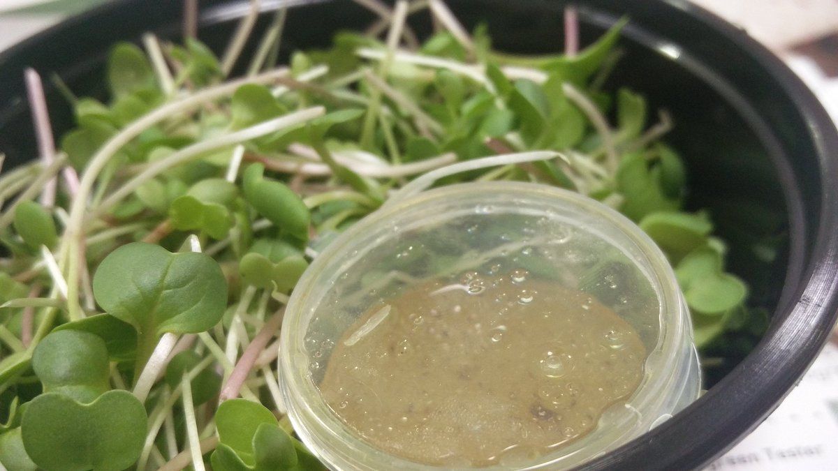 ntq8der's tweet photo. #midweekcheer was a zesty, palate cleansing snack / Thank you #TeamAdmin @abcapital so we could sample #microgreens #allinadayswork ๐ https://t.co/t4b1KG0PUX