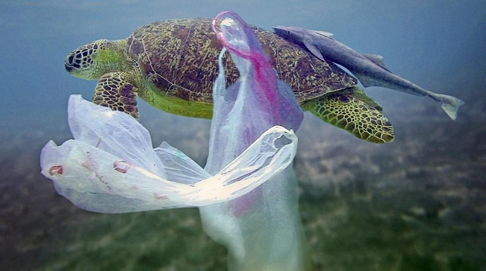 rosamolmos's tweet photo. Aproximadamente se vierten al océano 6,4 mil millones kilos de basura. La mayor parte de ésta es plástico. @EcoTIC4 #contaminación #byeplastic #mareslimpios https://t.co/dtKkjV83Gq