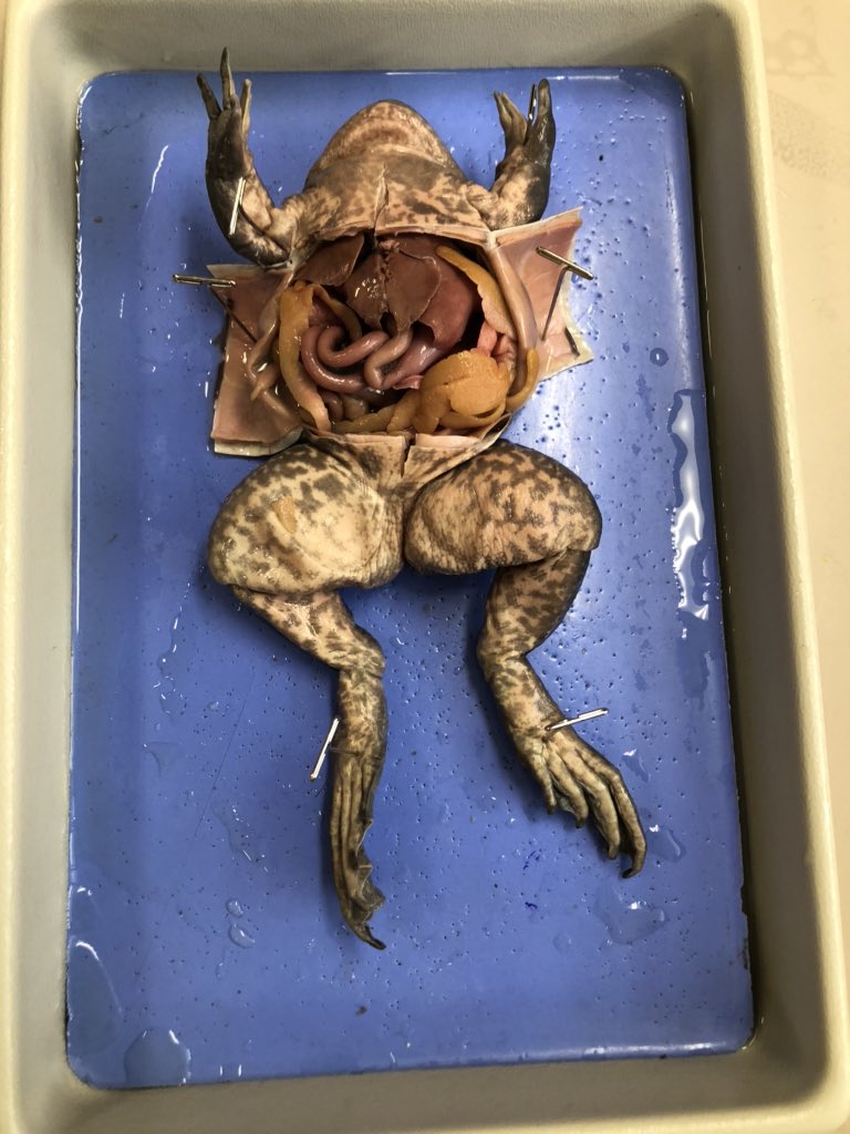 MOMS 7th Grade Science tweet media