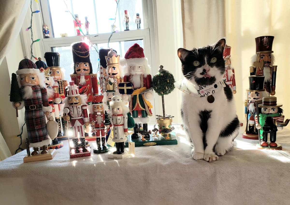 DairyFreeGina's tweet photo. Before I put #Christmas away here's a sampling of my #Nutcracker collection! 1st photo shows ones my husband actually made! We have about 70 nutcrackers in total
#ChristmasDecorations
#NutcrackerCollection
#DairyFreeGina
@gf_traveller https://t.co/r5vePIMojw