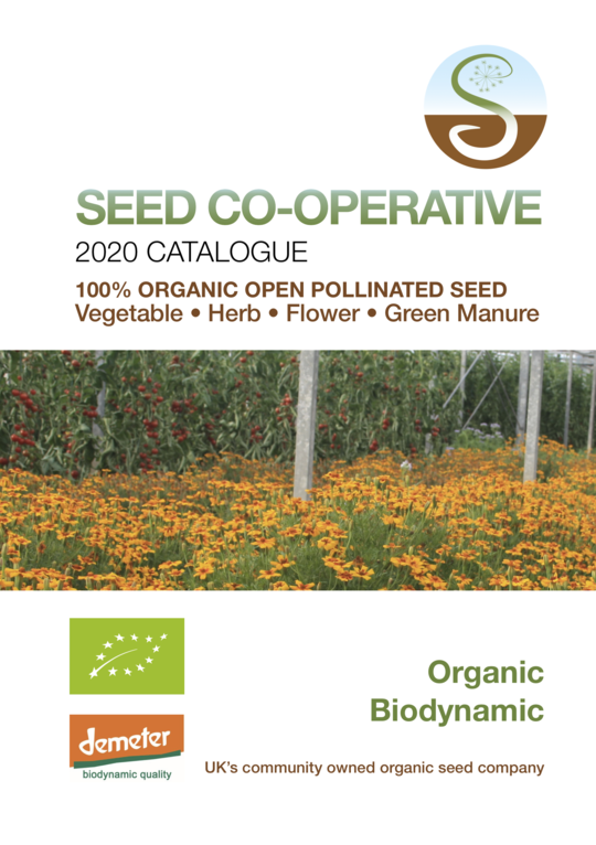 The <a href="/seedcoop/">Seed Co-operative</a>  have brought out their new seed catalogue.  Details also available from their online shop at seedcooperative.org.uk