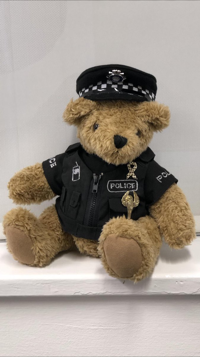 He has arrived. @PCEddieWalker from @UK_COPS is staying with us for a few weeks. He’s been given his Stand Tall badge and is ready for patrol with Oxberry, Jake and @MerseyMounty. #StandTall #FollowTheBear #PHOxberry #PHJake
