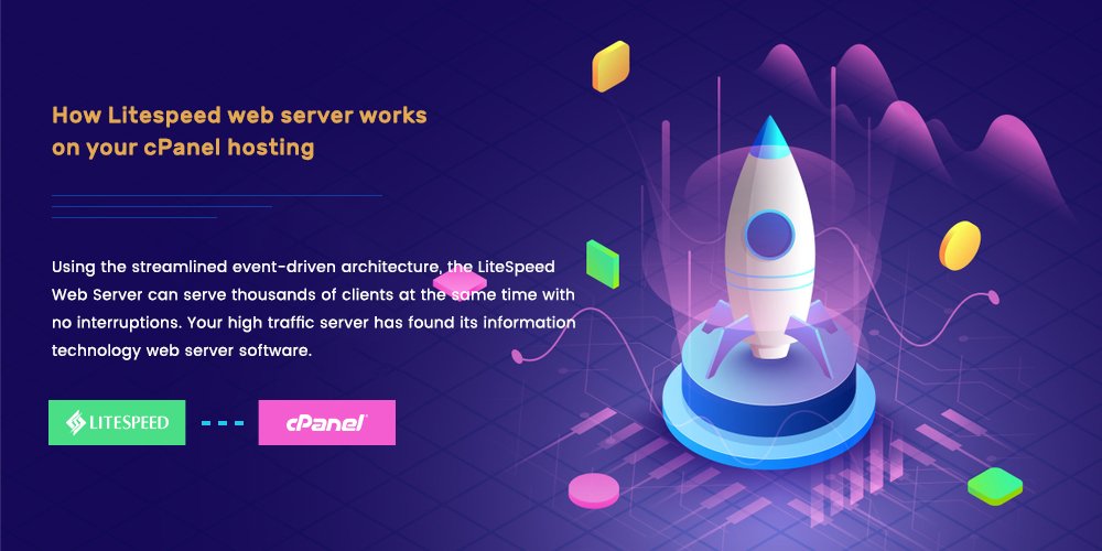 Professional SSD Hosting
waf.to/en/category/ho…
If you have a lot of websites and are looking for a top level web hosting solution, you can look at our professional hosting packages.
🙉🙊🙈❤