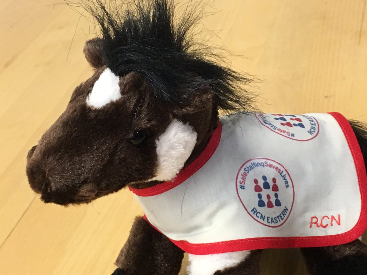 RCN Suffolk Branch tweet media