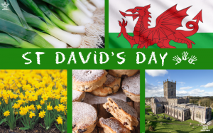 Dydd Gŵyl Dewi Hapus! This means ‘Happy St David’s Day’ in Welsh. Find out more: earlyyearsstaffroom.com/event/st-david…