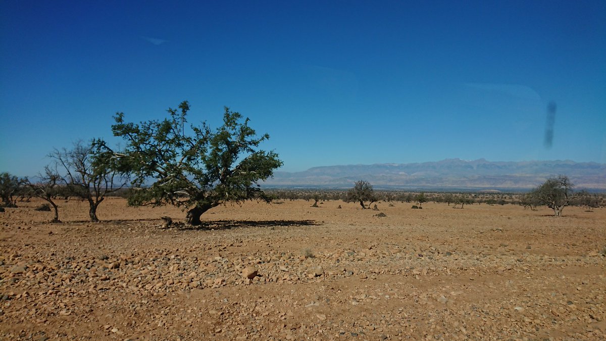 JnHerkert's tweet photo. Unterwegs im trockenen Süden von #Marokko 

#Agadir #taroudant #tiout #meinschiff #meinschiff3 #meinschiff3momente #cruise #kreuzfahrt #travel #travelphotography #traveldiaries #marokko🇲🇦 https://t.co/cuhh4vmcqA
