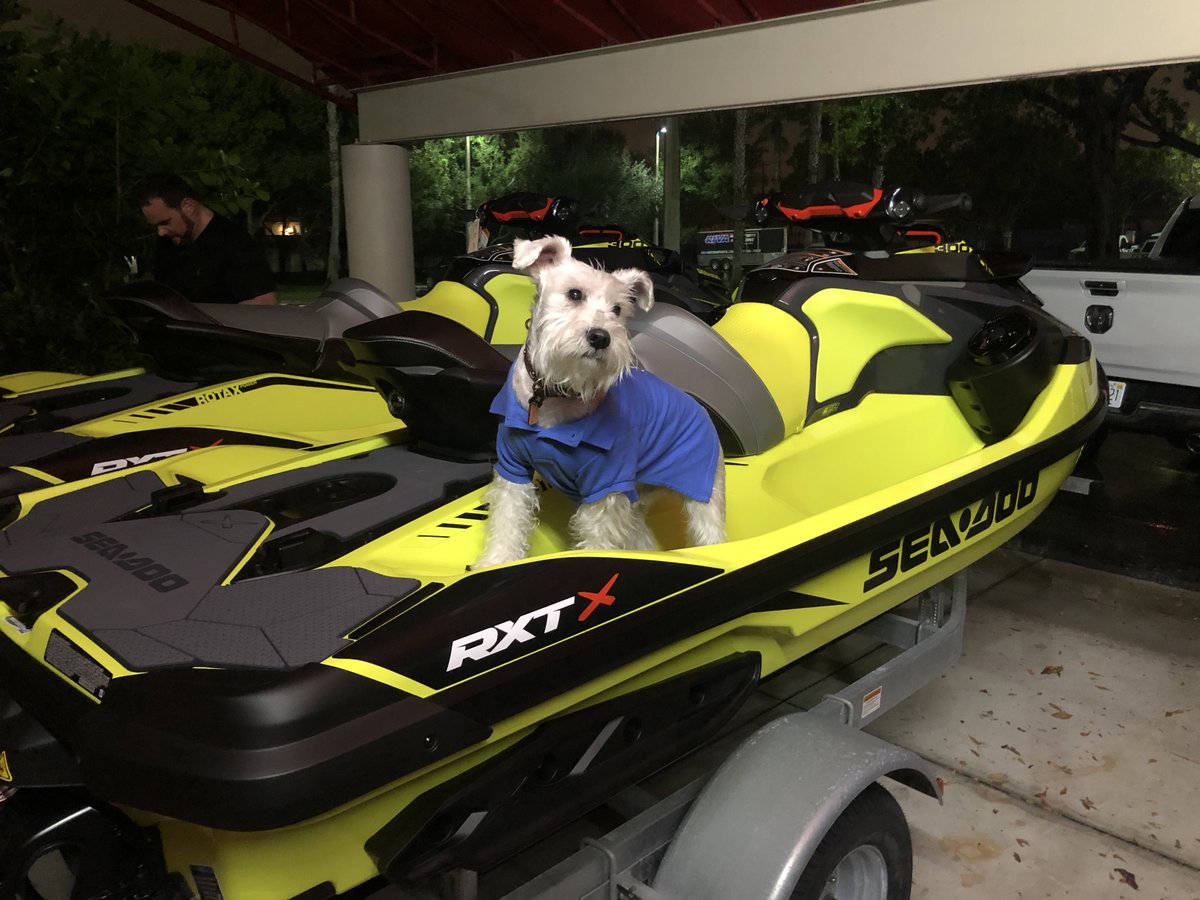 RIVAmotorsports's tweet photo. Charlie is excited to go riding on his brand new Sea-Doo RXT-Xs.
#SeaDoo #SeaDooLife #SeaDoo2020 #SeaDooRXTXs #seadoo #jetski #ride #pwc #seadoobrp #personalwatercraft #watercraft #jetskilife #musclecraft #powercraft #jetskiing #wavejumping #photooftheday #happydog https://t.co/6PV2Hi9vyL