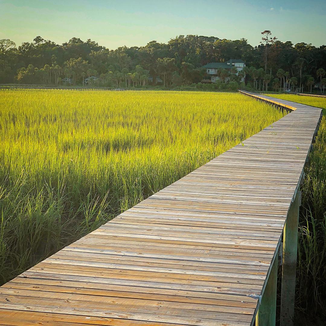 VisitSavannah's tweet photo. What's your favorite way to enjoy nature in Savannah? [📸: @rob.kemp] https://t.co/o693Oo0eYu